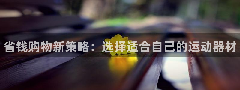 哈哈体育招商电话地址是多少:省钱购物新策略:选择适合自己的运